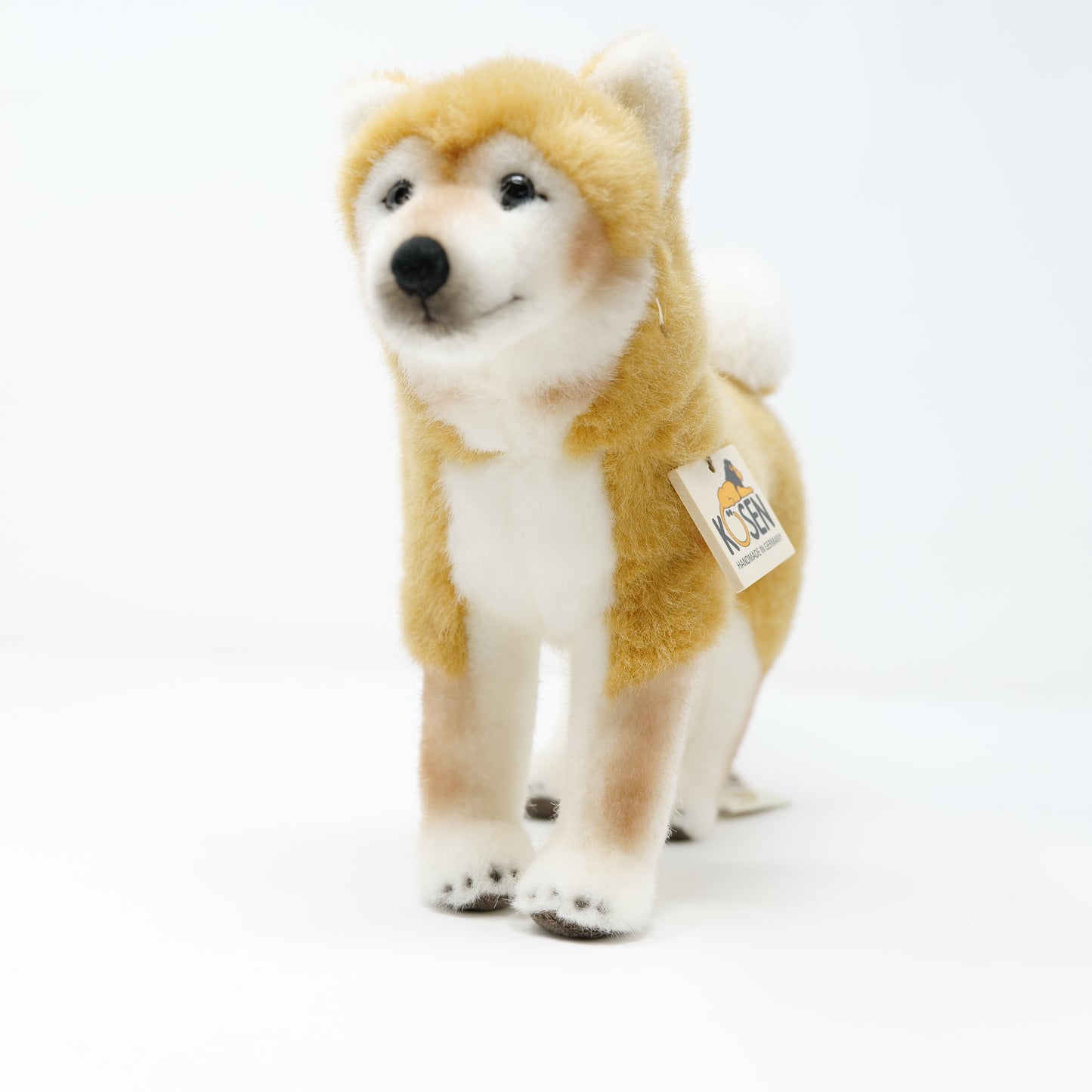 ケーセン　犬