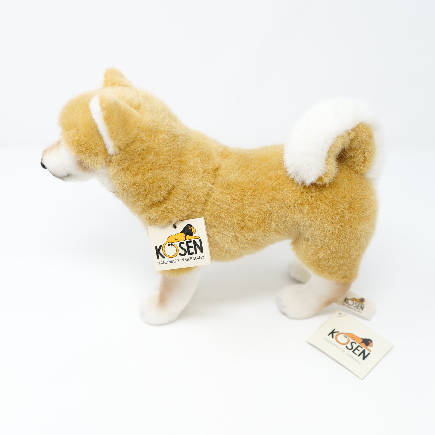 ケーセン　犬