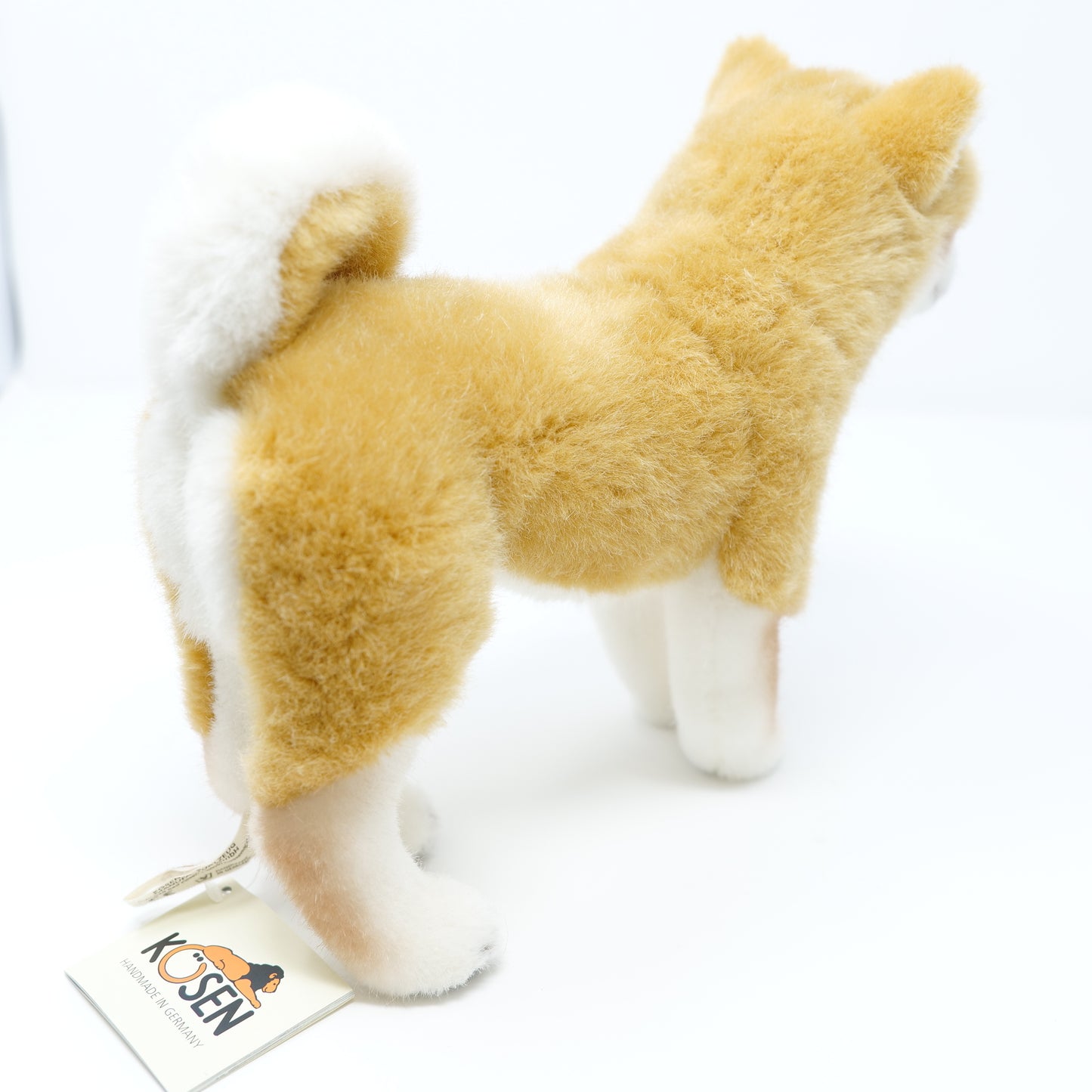 ケーセン　犬