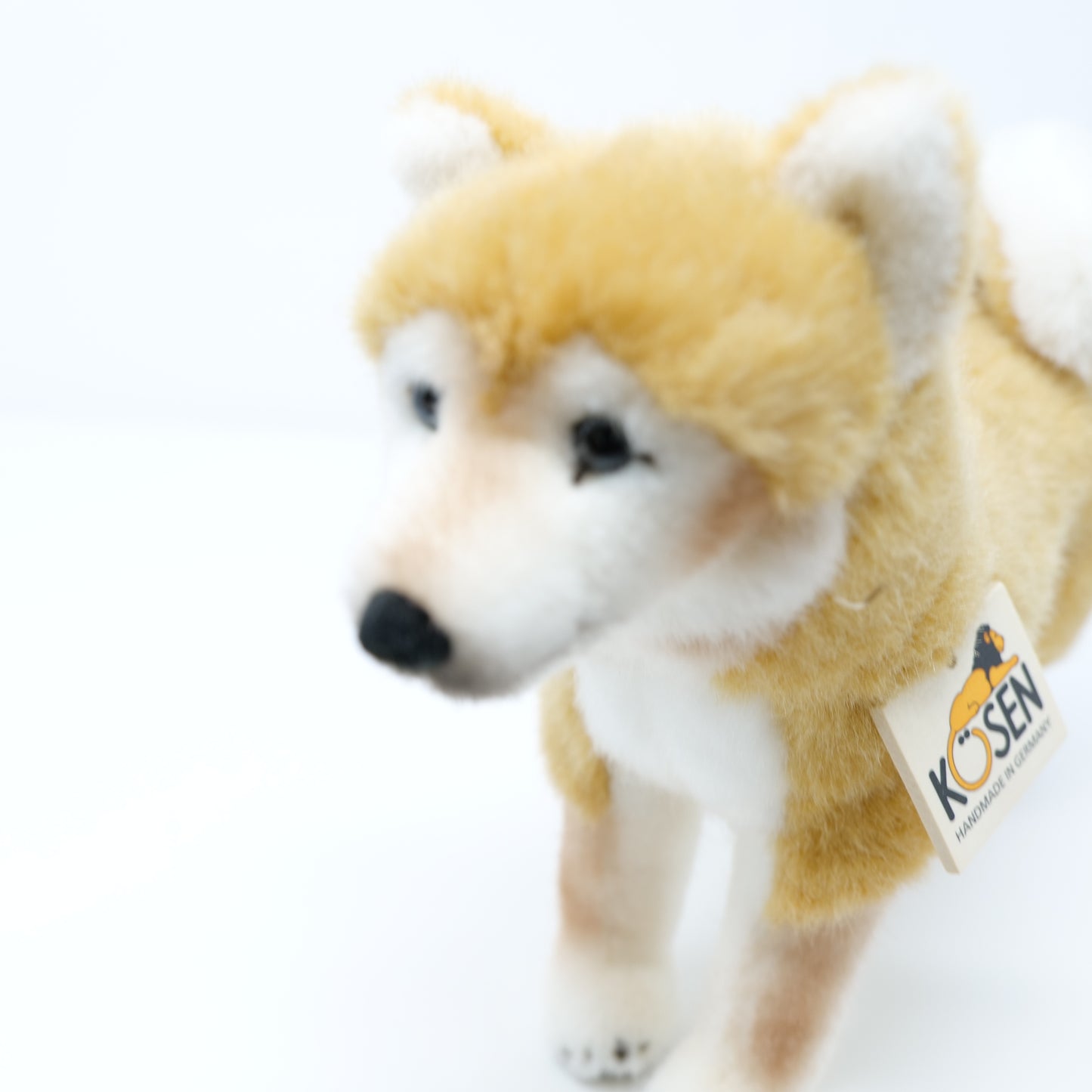 ケーセン　犬