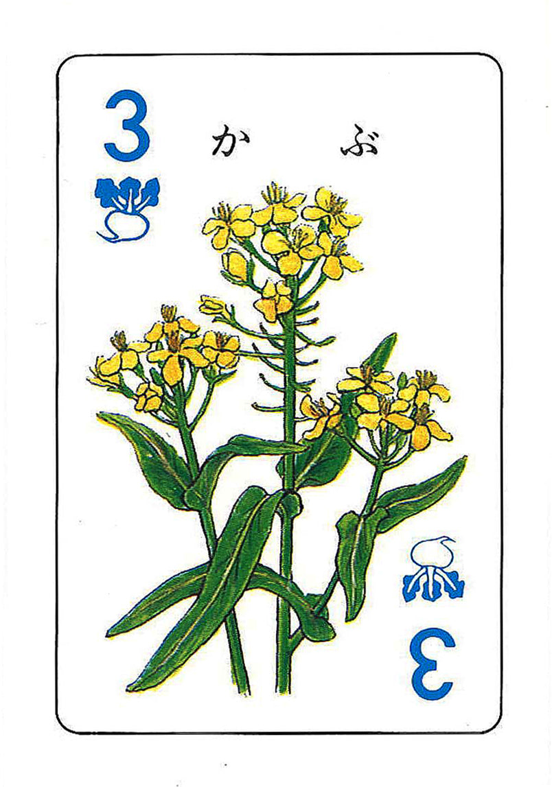 野菜カード
